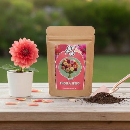 Mixed Dahlia Seed Collection Engela Seeds flower seed mix in a kraft pouch on a wooden table with a potted flower and loose soil